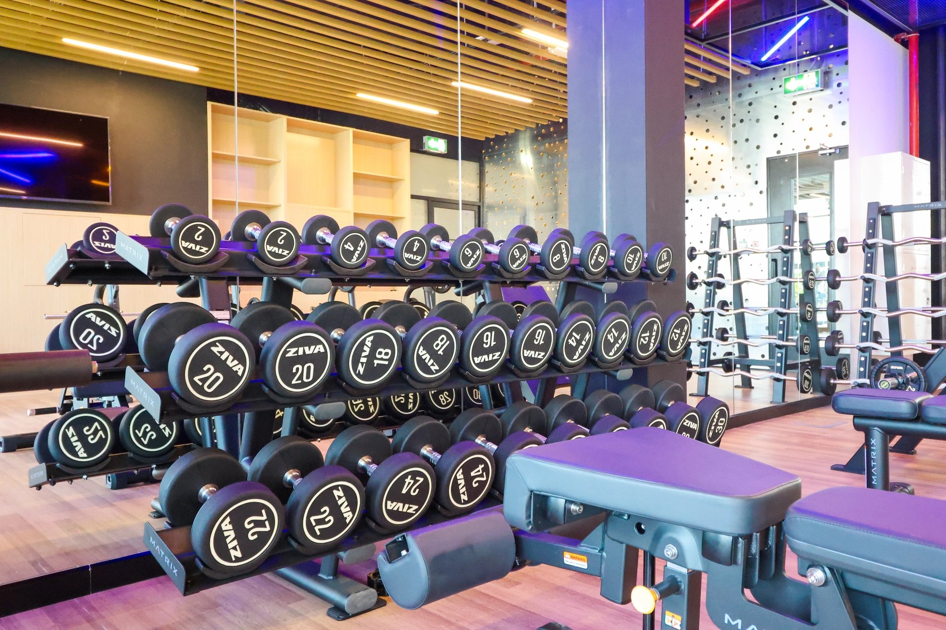 الصالة الرياضية - 2