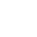 AUDITING