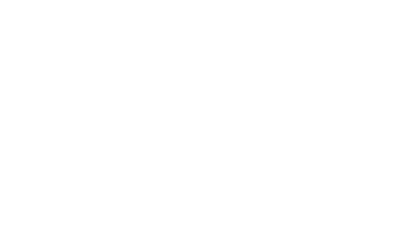 Create with shams-white
